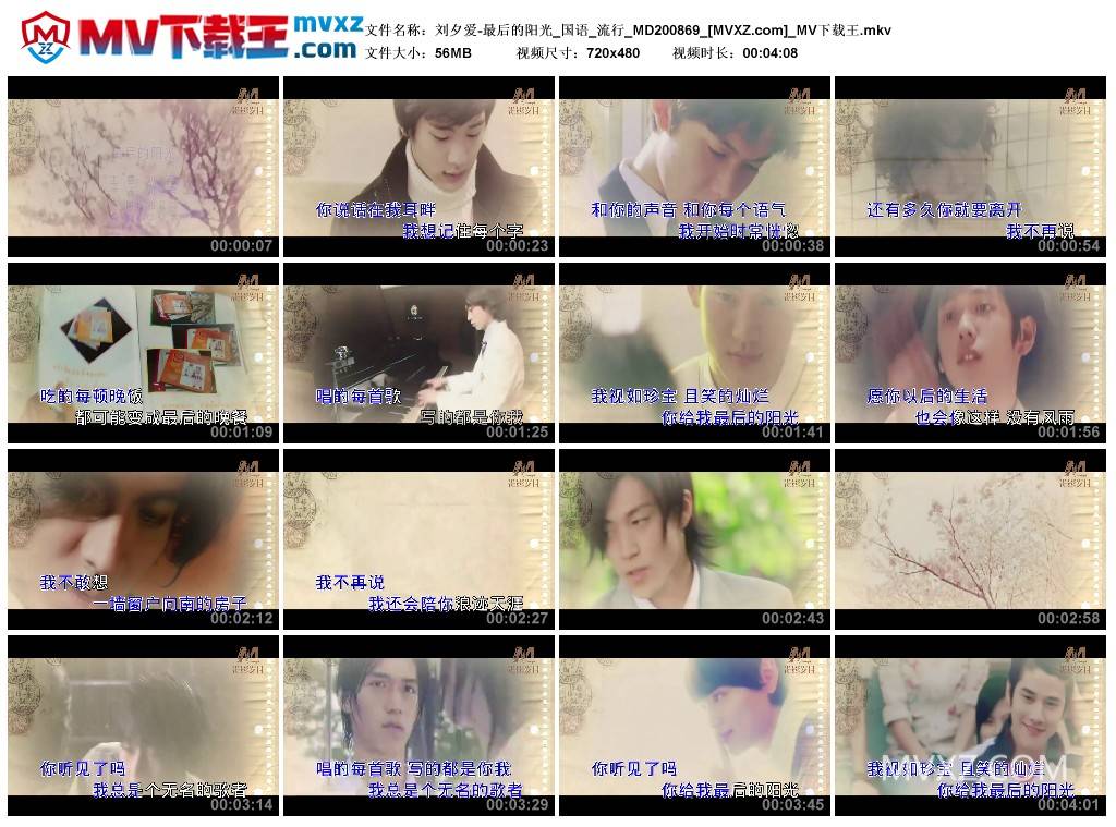 刘夕爱-最后的阳光_国语_流行_MD200869